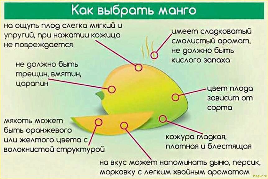 (ожидать, неприятностей, экзотических, фруктов) Стоит ли ожидать неприятностей от экзотических фруктов — можно ли отравиться помело