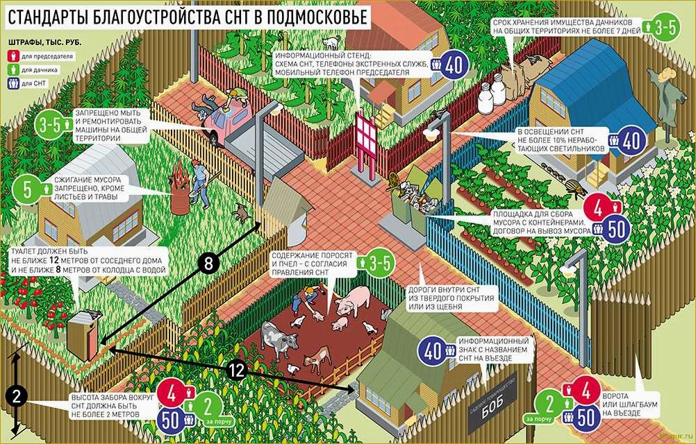 Как правильно установить туалет на даче и избежать возможных проблем с законом