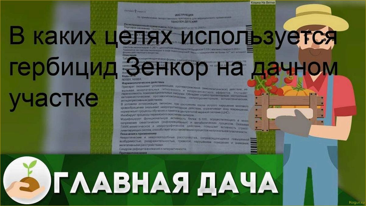 (гербицид, зенкор, цели, использования, дачном) Гербицид Зенкор: цели использования на дачном участке