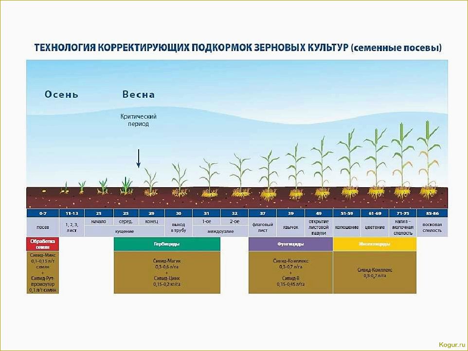 (гербицид, зенкор, цели, использования, дачном) Гербицид Зенкор: цели использования на дачном участке