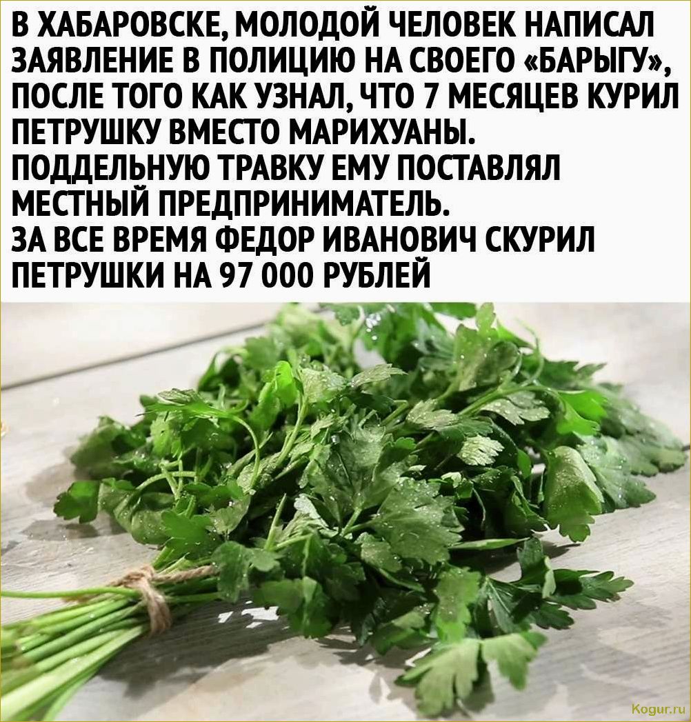 Полезные свойства петрушки: как правильно употреблять