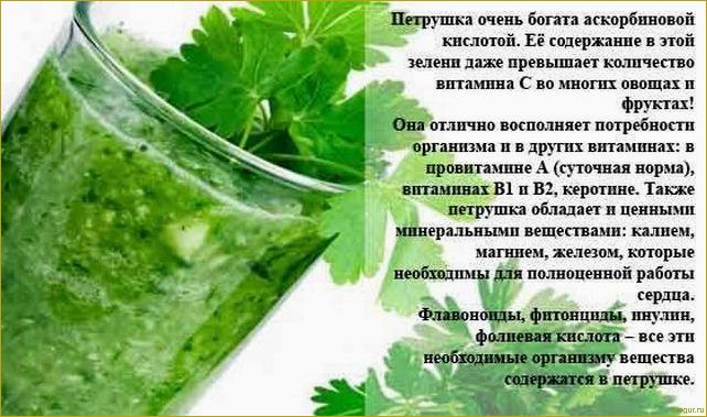 Полезные свойства петрушки: как правильно употреблять