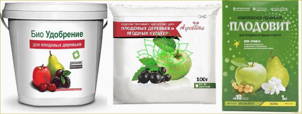 (правильно, подкормить, плодовые, кустарники, деревья) Как правильно подкормить плодовые кустарники и деревья весной