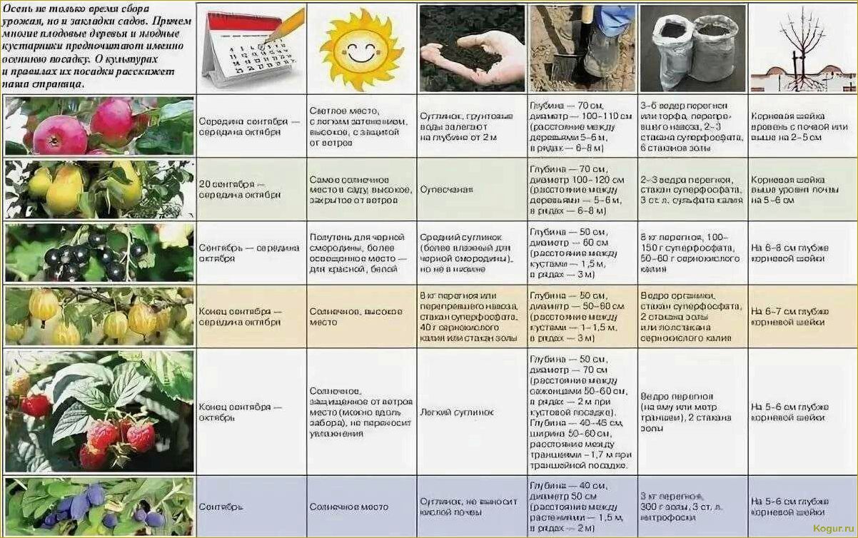 (правильно, подкормить, плодовые, кустарники, деревья) Как правильно подкормить плодовые кустарники и деревья весной