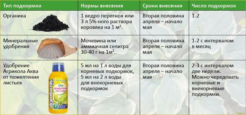 (правильно, подкормить, плодовые, кустарники, деревья) Как правильно подкормить плодовые кустарники и деревья весной