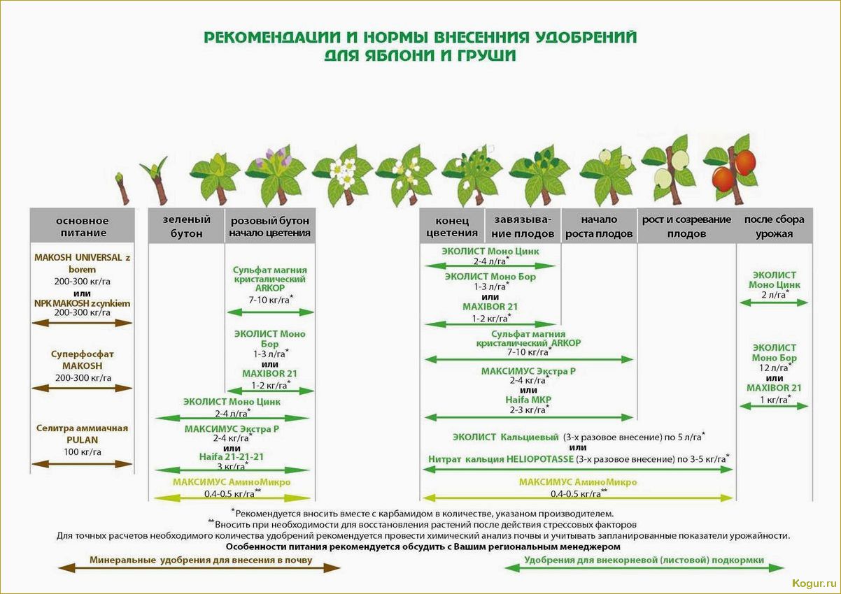 (правильно, подкормить, плодовые, кустарники, деревья) Как правильно подкормить плодовые кустарники и деревья весной