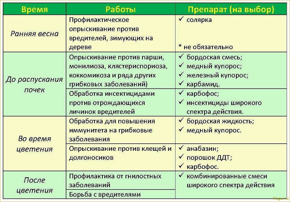 (правильно, подкормить, плодовые, кустарники, деревья) Как правильно подкормить плодовые кустарники и деревья весной