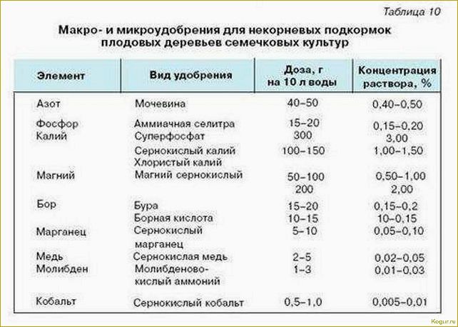 (правильно, подкормить, плодовые, кустарники, деревья) Как правильно подкормить плодовые кустарники и деревья весной