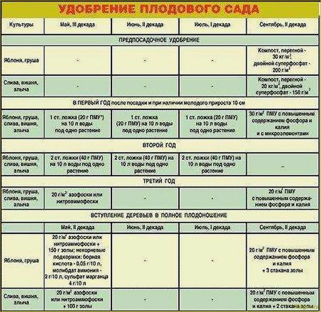 (правильно, подкормить, плодовые, кустарники, деревья) Как правильно подкормить плодовые кустарники и деревья весной
