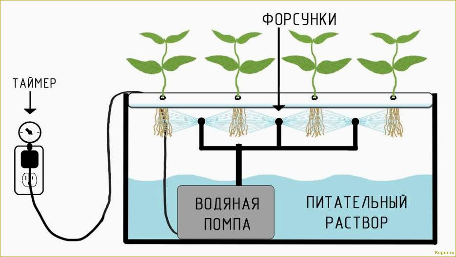 (выращивание, огурцов, гидропонике, привлекательный, способ) Выращивание огурцов на гидропонике: привлекательный способ получить свежие овощи