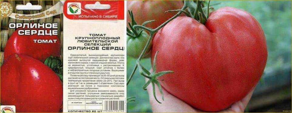(высокорослый, крупноплодный, сорт, томата, орлиное) Высокорослый крупноплодный сорт томата Орлиное сердце для дачного участка