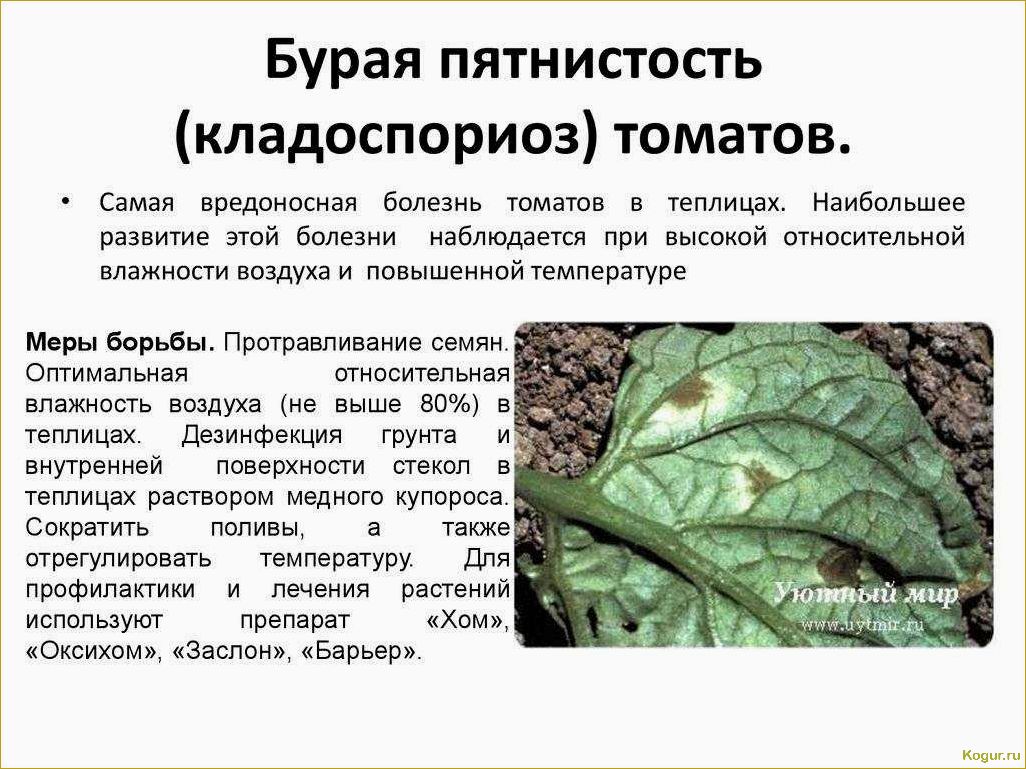 (вредители, баклажанов, способы, борьбы) Вредители баклажанов и способы борьбы с ними