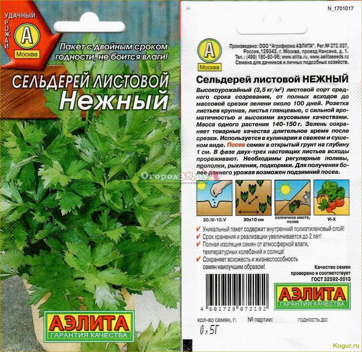 (правильно, вырастить, листовой, сельдерей, семян) Как правильно вырастить листовой сельдерей из семян: советы и рекомендации