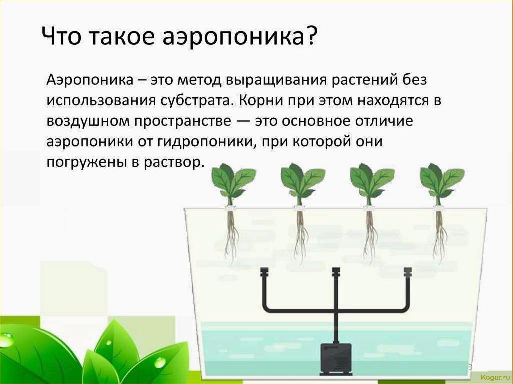 (выращивание, огурцов, гидропонике, привлекательный, способ) Выращивание огурцов на гидропонике: привлекательный способ получить свежие овощи