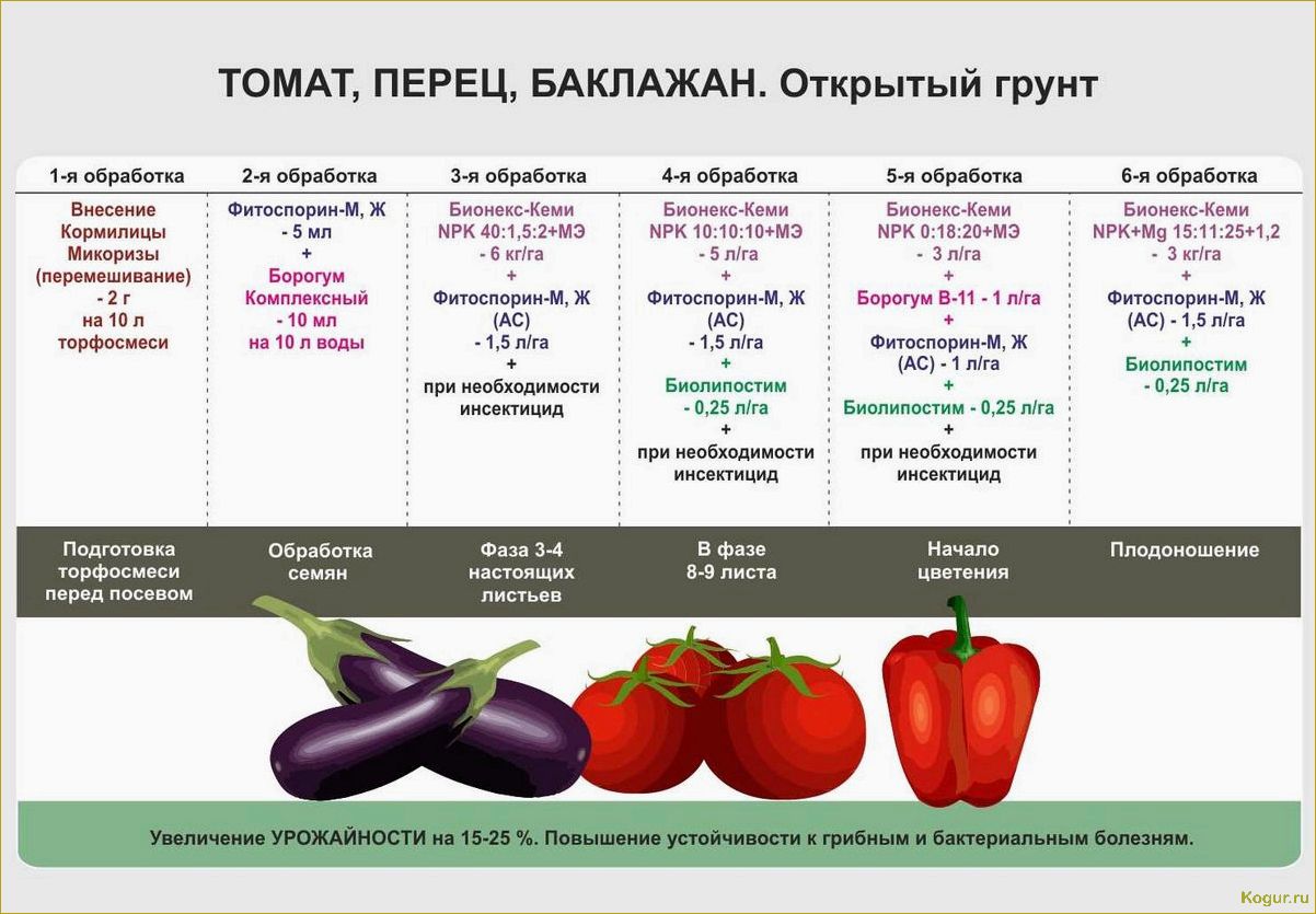 Выращивание сладкого перца в теплице — секреты хорошего урожая