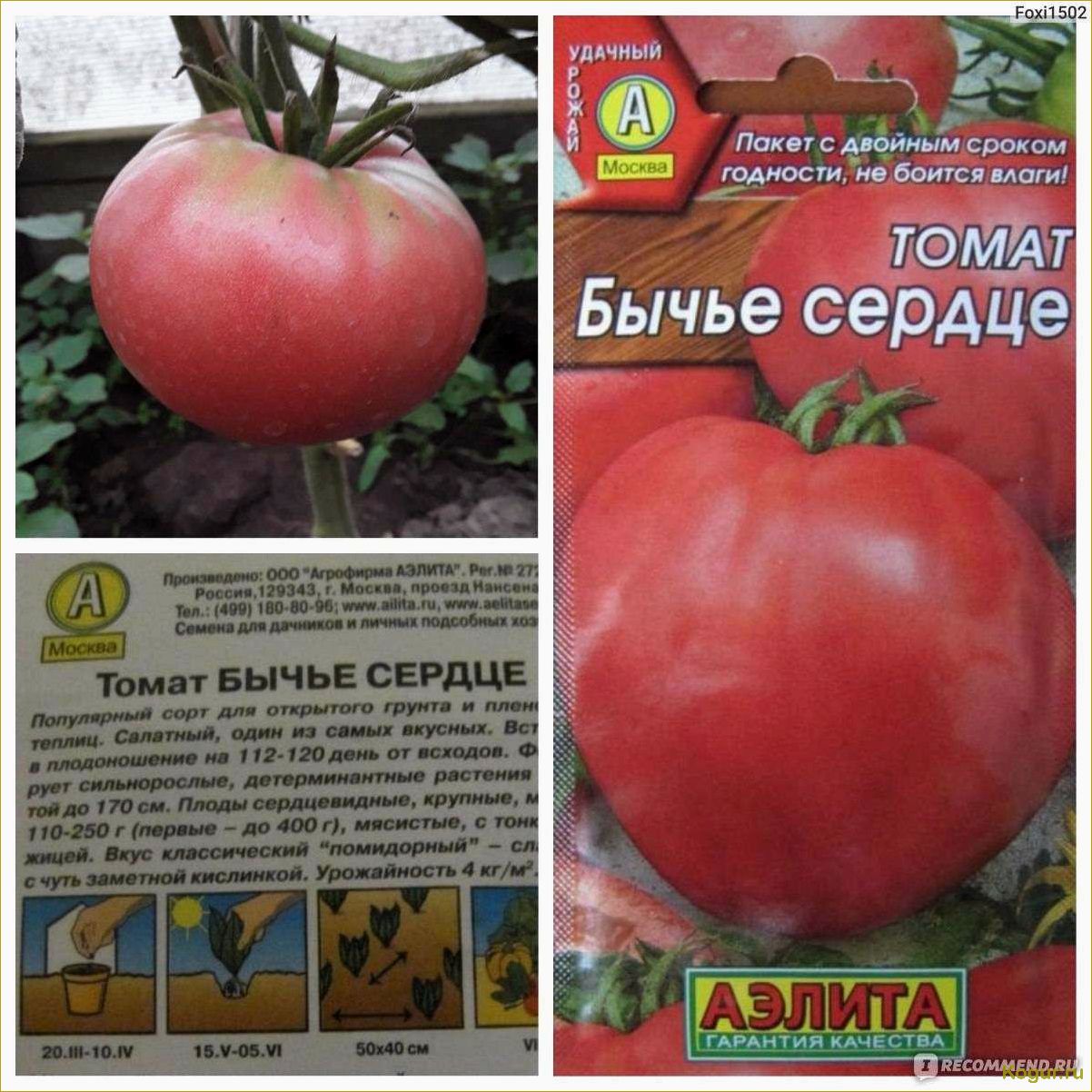 (высокорослый, крупноплодный, сорт, томата, орлиное) Высокорослый крупноплодный сорт томата Орлиное сердце для дачного участка
