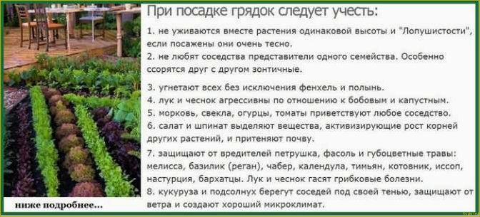 Зачем и как проводится окучивание растений на огороде