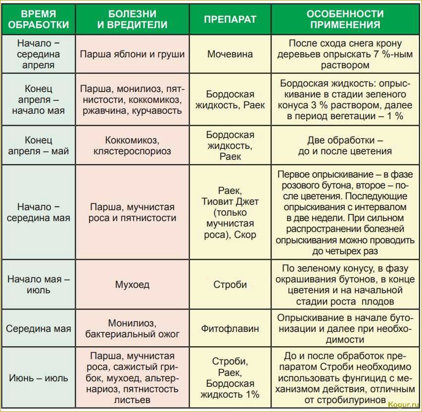(побелка, плодовых, деревьев, весной) Зачем нужна побелка плодовых деревьев весной, сроки ее проведения
