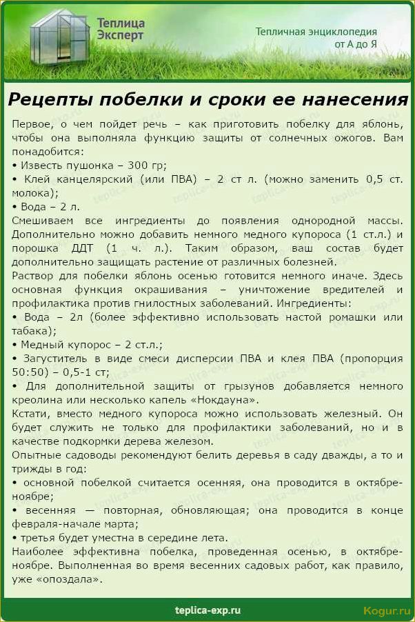 (побелка, плодовых, деревьев, весной) Зачем нужна побелка плодовых деревьев весной, сроки ее проведения