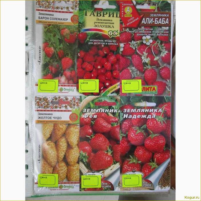 Описание и фото земляники сорта Али Баба: погружаемся в ароматный мир этого удивительного ягодного растения