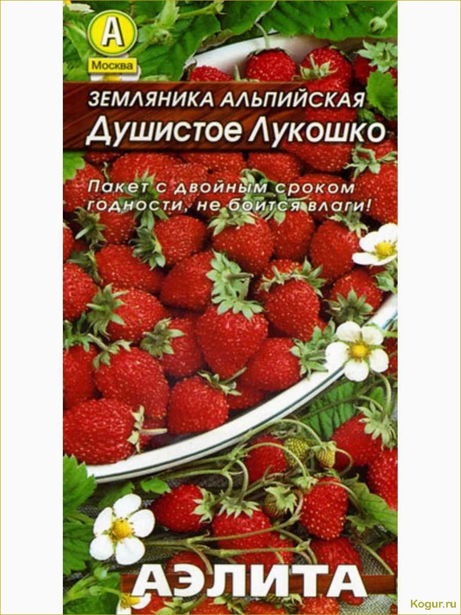 Описание и фото земляники сорта Али Баба: погружаемся в ароматный мир этого удивительного ягодного растения