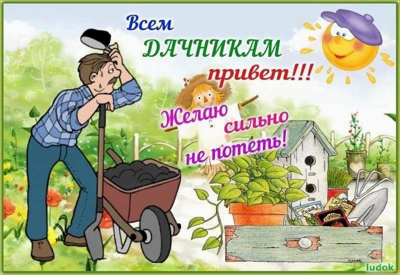 (заняться, дачными, делами, апреле, полезные) Как заняться дачными делами в апреле: полезные советы и задачи для садоводов