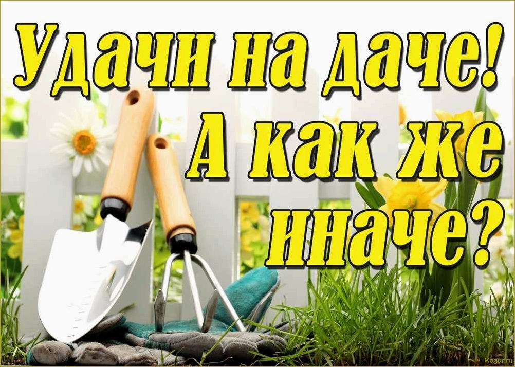 (заняться, дачными, делами, апреле, полезные) Как заняться дачными делами в апреле: полезные советы и задачи для садоводов