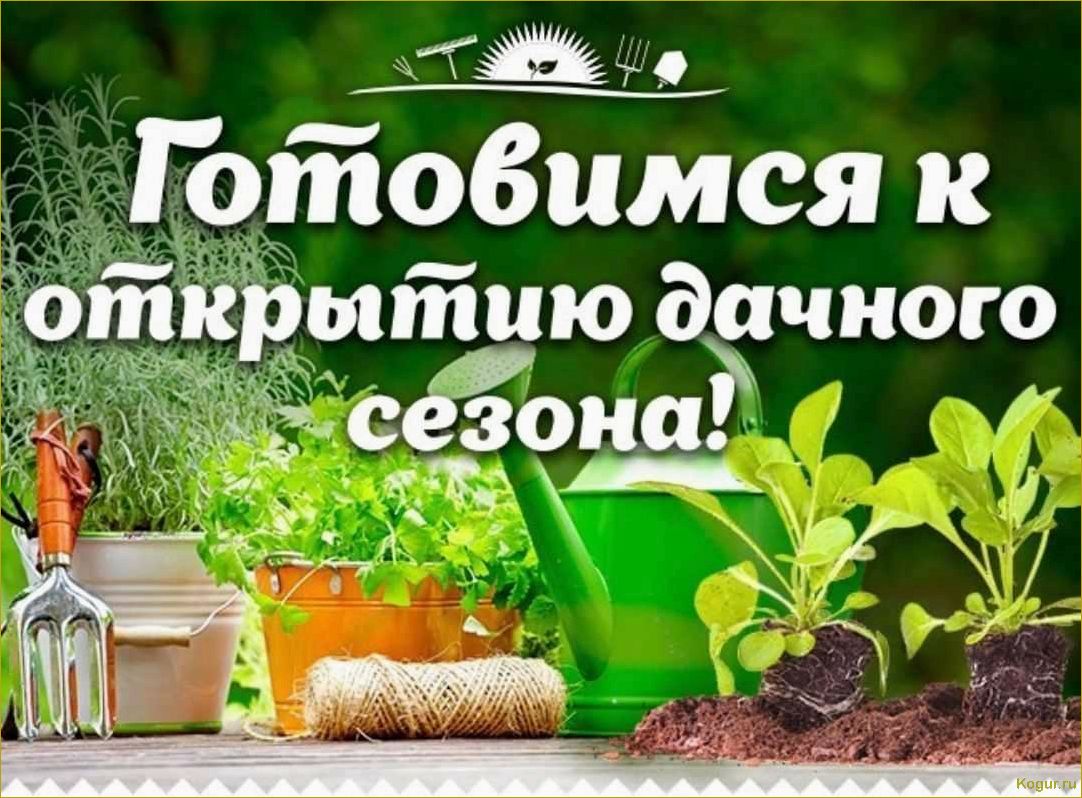 (заняться, дачными, делами, апреле, полезные) Как заняться дачными делами в апреле: полезные советы и задачи для садоводов