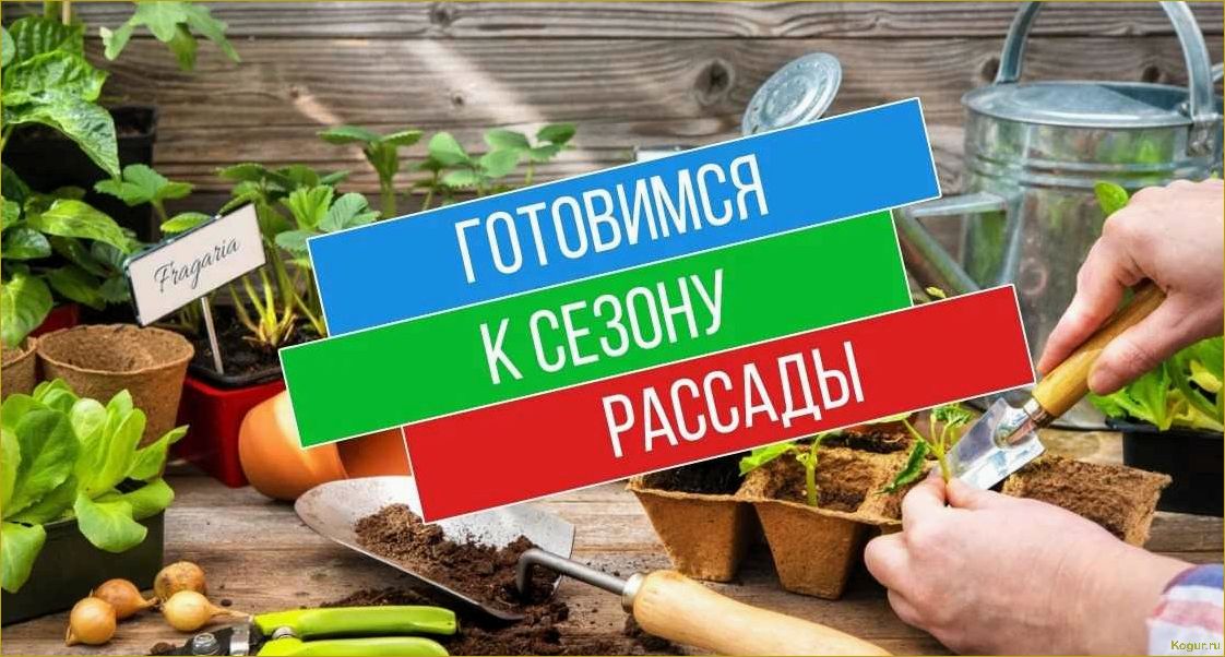 (заняться, дачными, делами, апреле, полезные) Как заняться дачными делами в апреле: полезные советы и задачи для садоводов