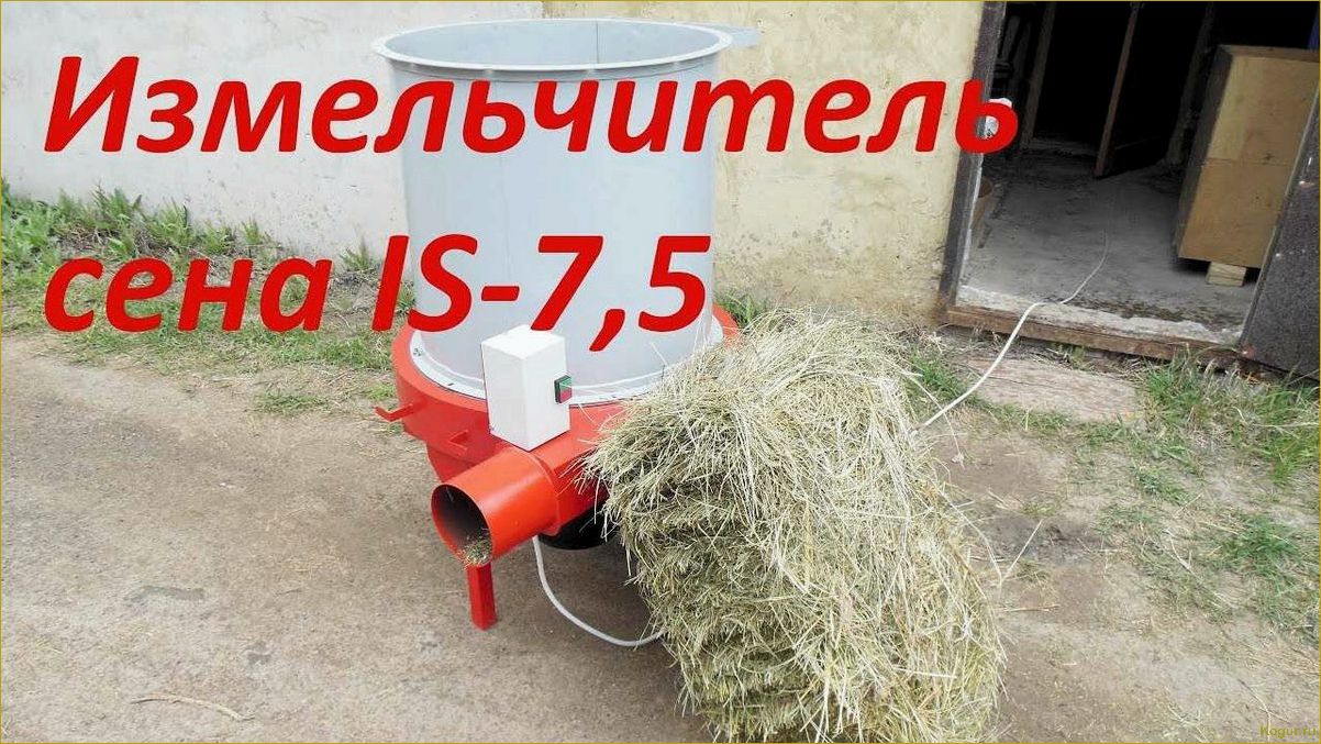 Измельчитель для сена и соломы: функции, устройство, виды и самостоятельное изготовление