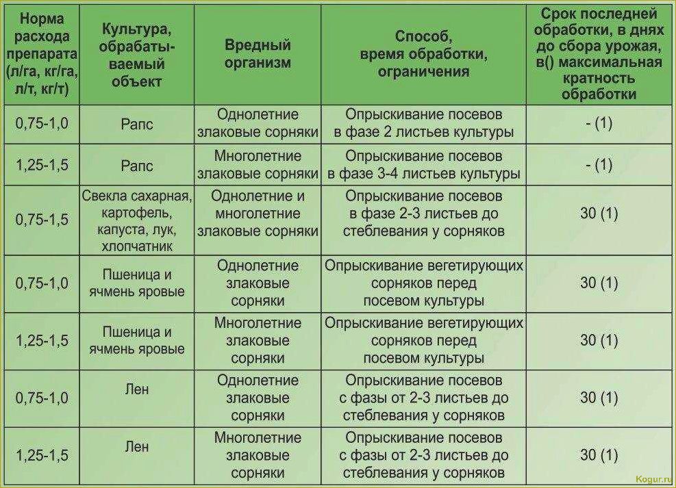 Гербициды для картофеля: эффективные препараты для обработки наделов после всходов