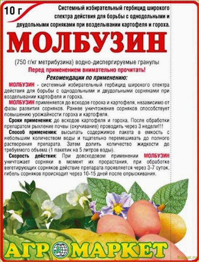 Гербициды для картофеля: эффективные препараты для обработки наделов после всходов