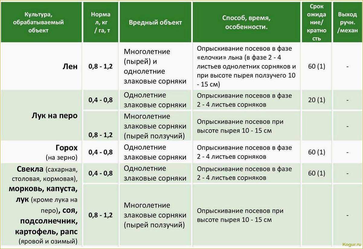 Гербициды для картофеля: эффективные препараты для обработки наделов после всходов