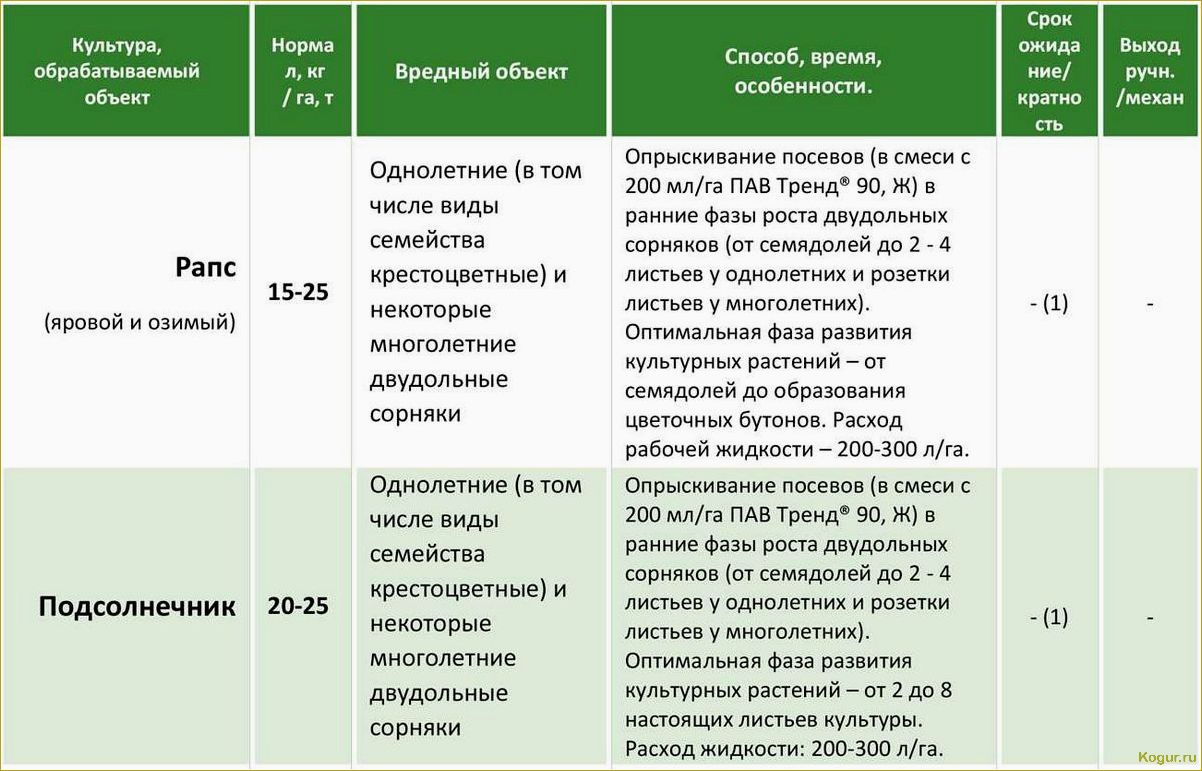 Гербициды для картофеля: эффективные препараты для обработки наделов после всходов