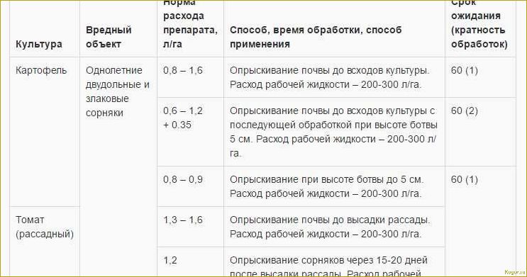 Гербициды для картофеля: эффективные препараты для обработки наделов после всходов