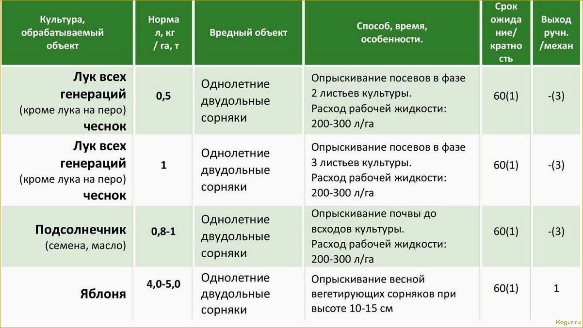 Гербициды для картофеля: эффективные препараты для обработки наделов после всходов