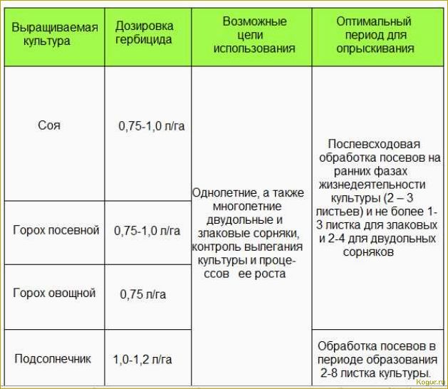 (инструкция, гербицида, евролайтинг, правила, эффективной) Инструкция гербицида Евролайтинг — правила эффективной борьбы со злостными сорняками