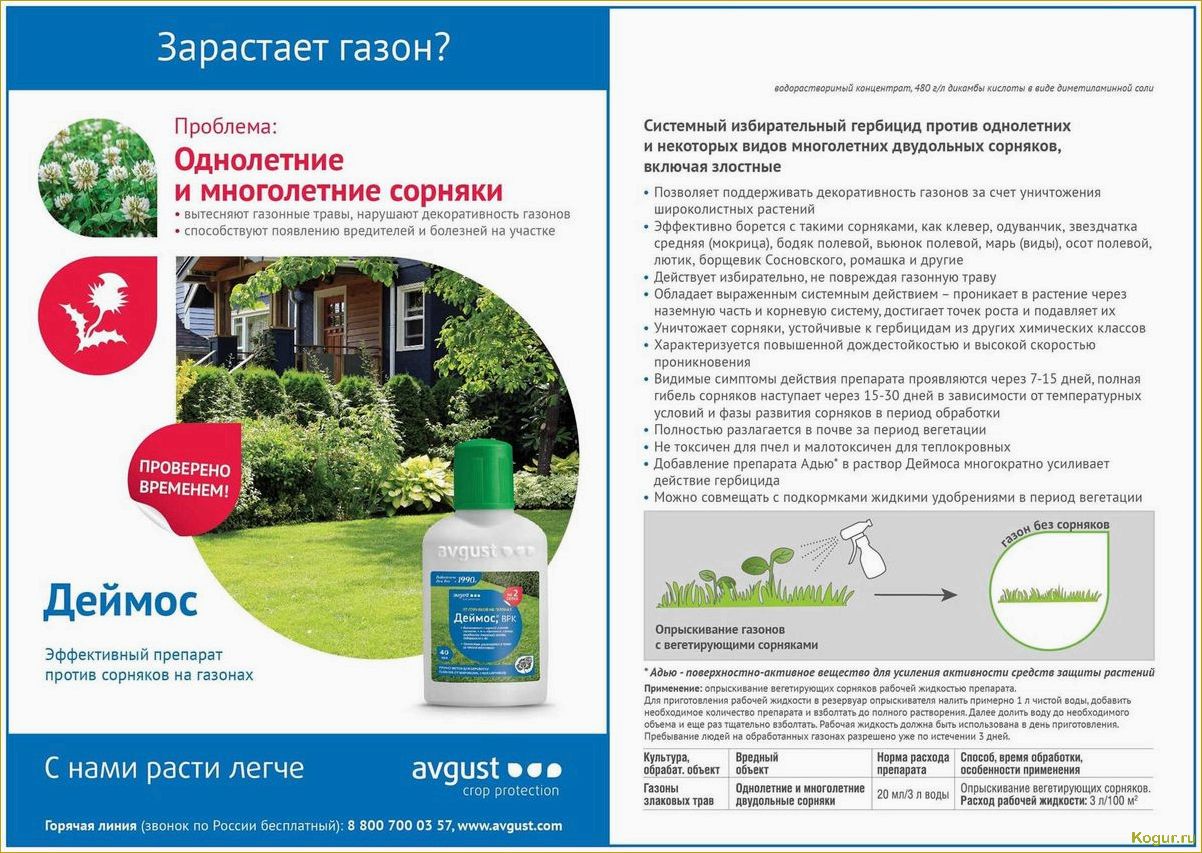(инструкция, гербицида, евролайтинг, правила, эффективной) Инструкция гербицида Евролайтинг — правила эффективной борьбы со злостными сорняками