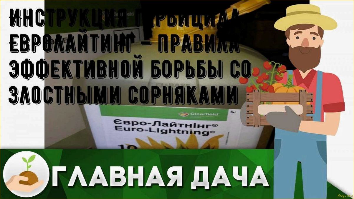 (инструкция, гербицида, евролайтинг, правила, эффективной) Инструкция гербицида Евролайтинг — правила эффективной борьбы со злостными сорняками