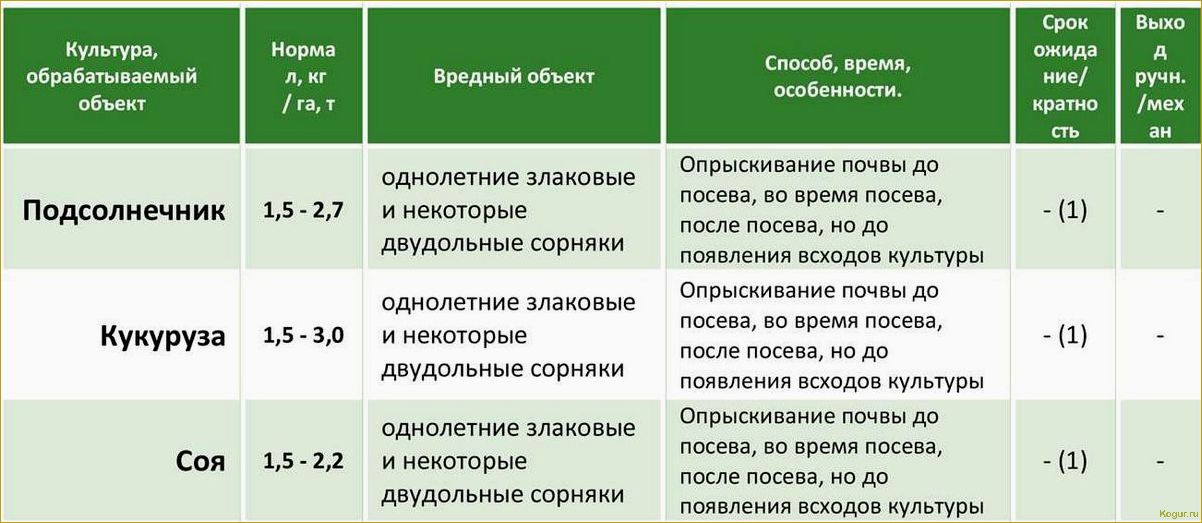 (важные, сведения, применении, гербицида, пивот) Важные сведения о применении гербицида Пивот: руководство для безопасной работы с препаратом