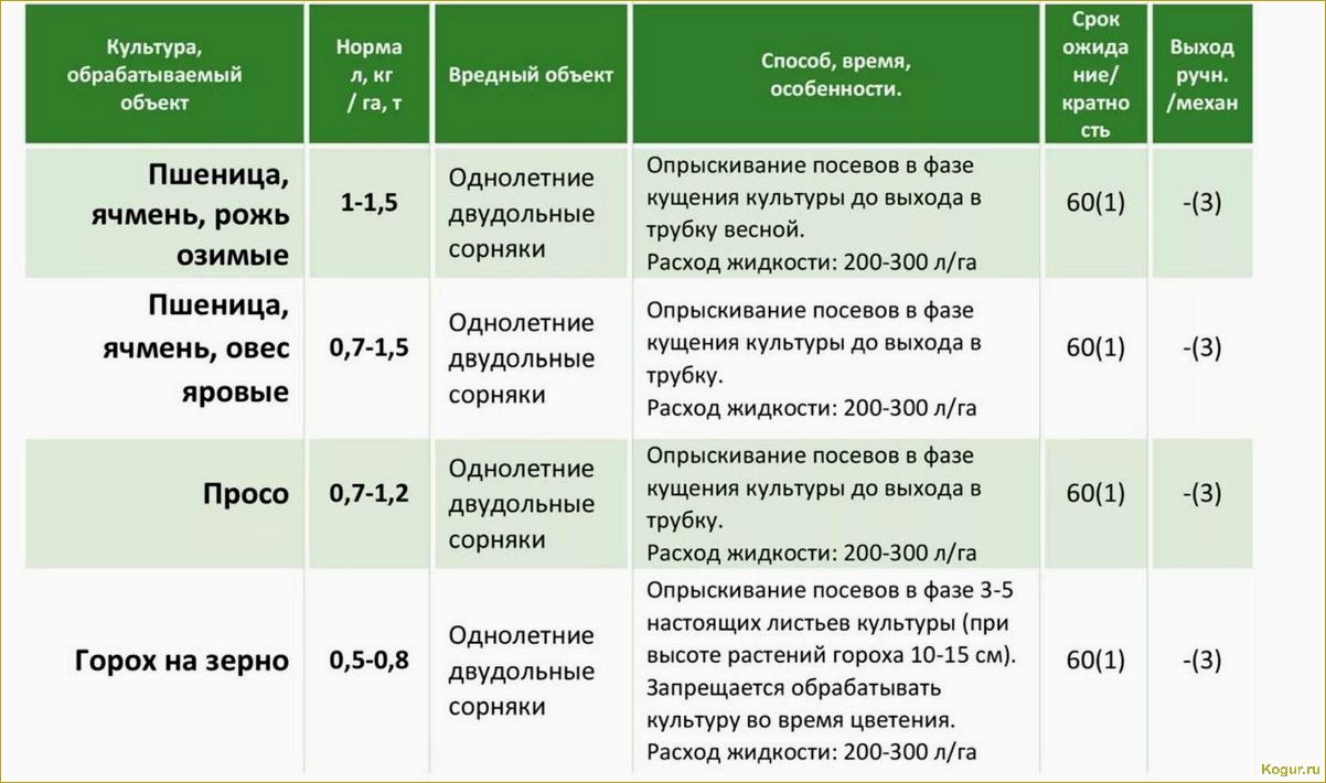 (важные, сведения, применении, гербицида, пивот) Важные сведения о применении гербицида Пивот: руководство для безопасной работы с препаратом