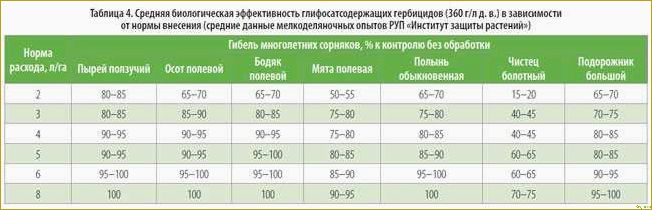 (важные, сведения, применении, гербицида, пивот) Важные сведения о применении гербицида Пивот: руководство для безопасной работы с препаратом