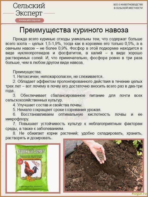 (инструкция, применению, гранулированного, куриного, помета) Инструкция по применению гранулированного куриного помета для богатого урожая