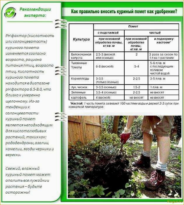 (инструкция, применению, гранулированного, куриного, помета) Инструкция по применению гранулированного куриного помета для богатого урожая
