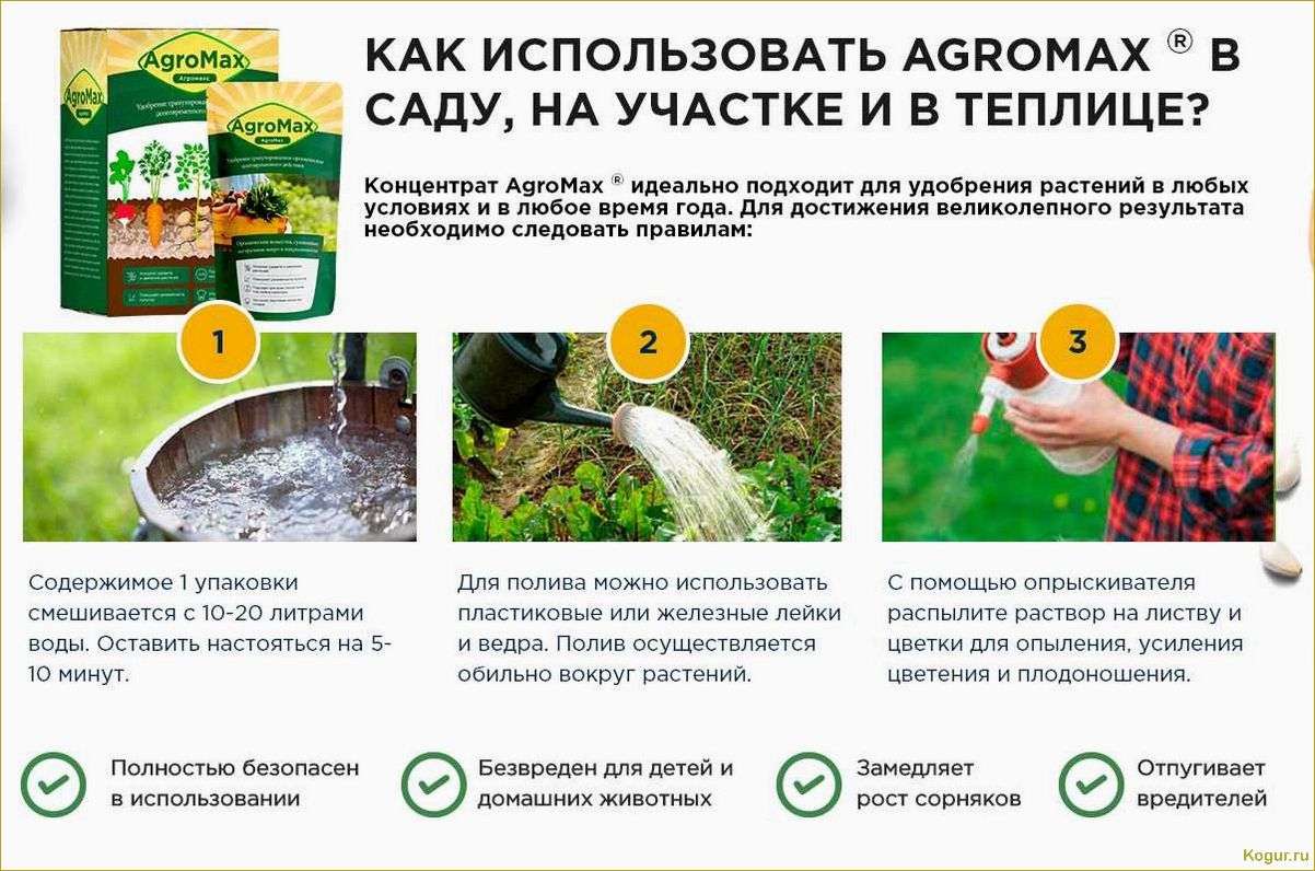 (использовать, плантафол, эффективного, удобрения, растений) Как использовать Плантафол для эффективного удобрения растений: подробная инструкция