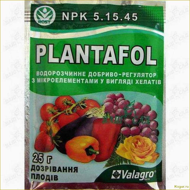 (использовать, плантафол, эффективного, удобрения, растений) Как использовать Плантафол для эффективного удобрения растений: подробная инструкция