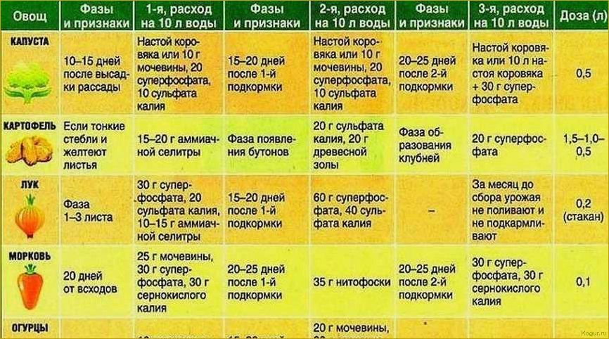 (использовать, плантафол, эффективного, удобрения, растений) Как использовать Плантафол для эффективного удобрения растений: подробная инструкция