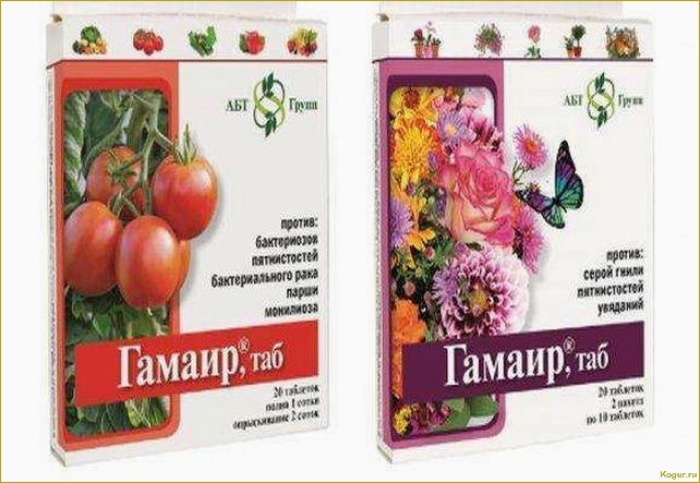 Как использовать таблетки Гамаир для различных видов растений: подробная инструкция