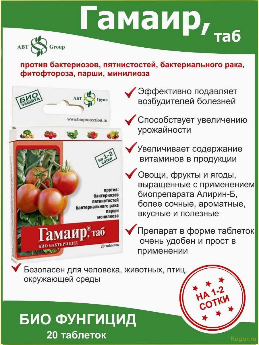 Как использовать таблетки Гамаир для различных видов растений: подробная инструкция