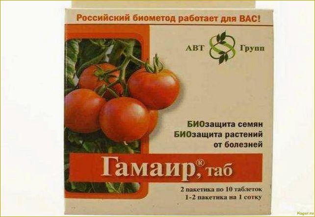 Как использовать таблетки Гамаир для различных видов растений: подробная инструкция